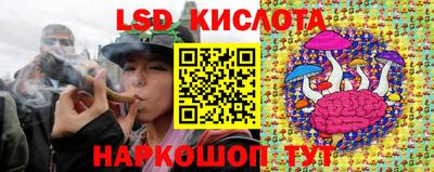 ПСИЛОЦИБИНОВЫЕ ГРИБЫ Дубна